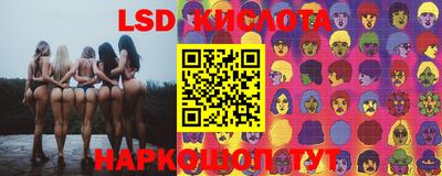 mdpv Краснознаменск